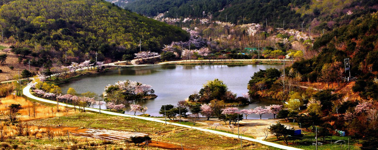 오케이목장의 봄_윤기득(입선)